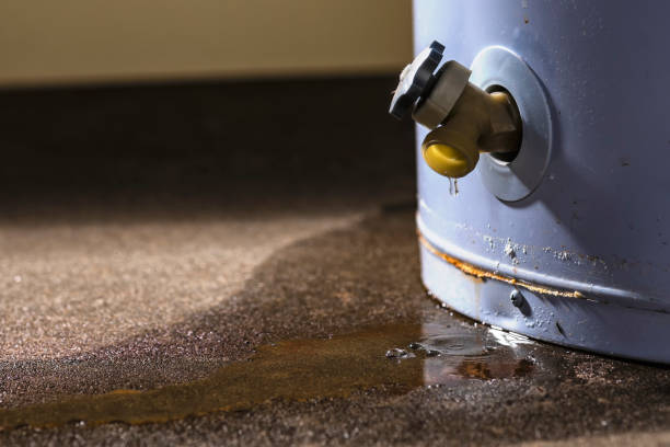 Best Carpet water damage restoration  in Lakeland, FL