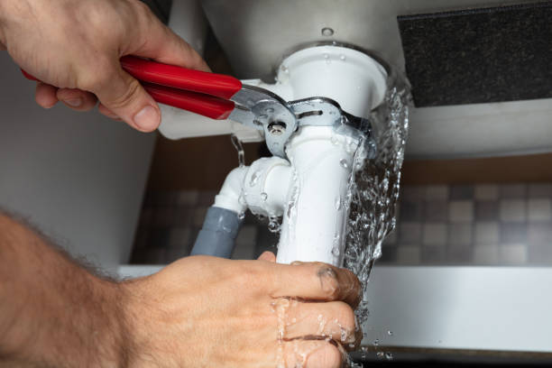 Best Flood restoration services  in Lakeland, FL