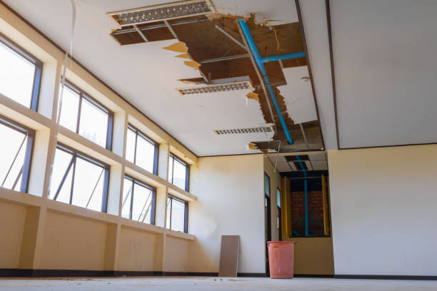 Best 24-hour water damage restoration  in Lakeland, FL