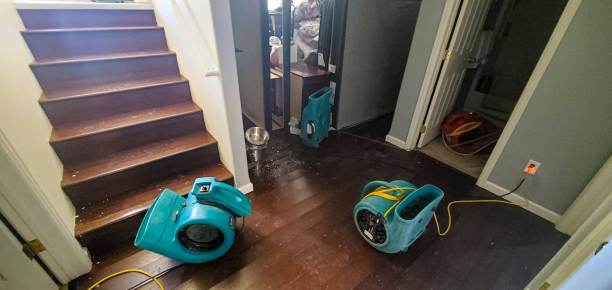  Lakeland, FL Water damage restoration Pros