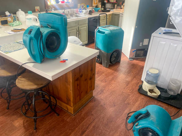 Best Water damage contractors near me  in Lakeland, FL