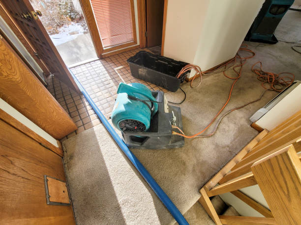 Best Professional water damage repair  in Lakeland, FL