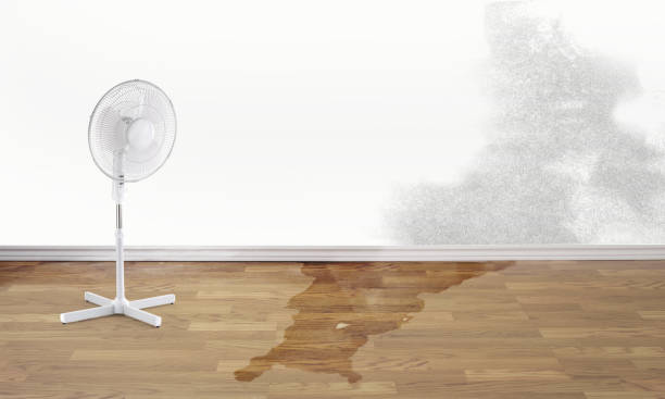 Best 24-hour water damage restoration  in Lakeland, FL