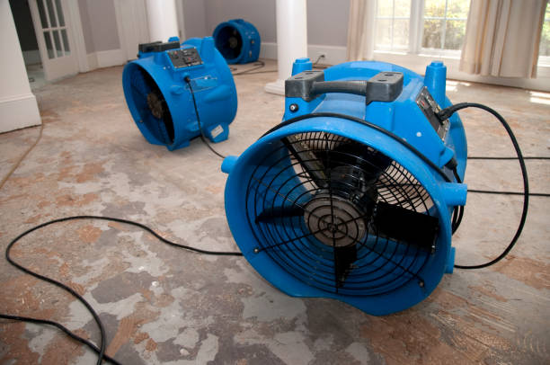 Best Professional water damage repair  in Lakeland, FL