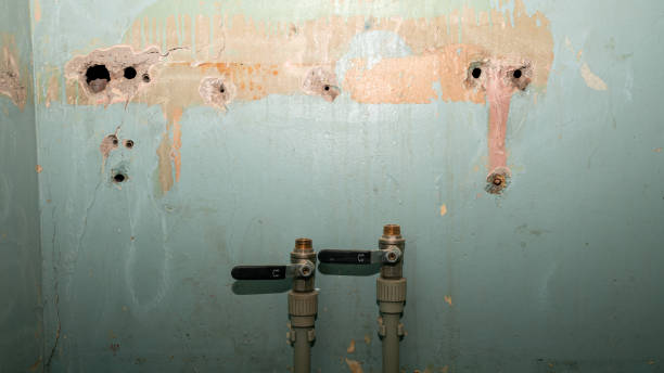 Best Commercial water damage restoration  in Lakeland, FL