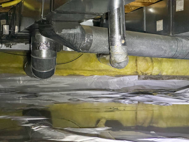Best Residential water damage restoration  in Lakeland, FL