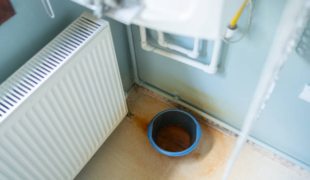 Best Flood damage cleanup  in Lakeland, FL