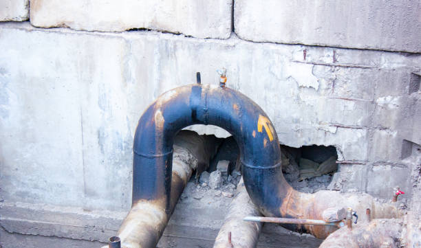 Best Flooded house restoration  in Lakeland, FL