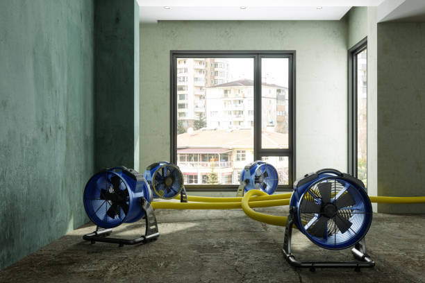 Best Sewage cleanup and water damage restoration  in Lakeland, FL